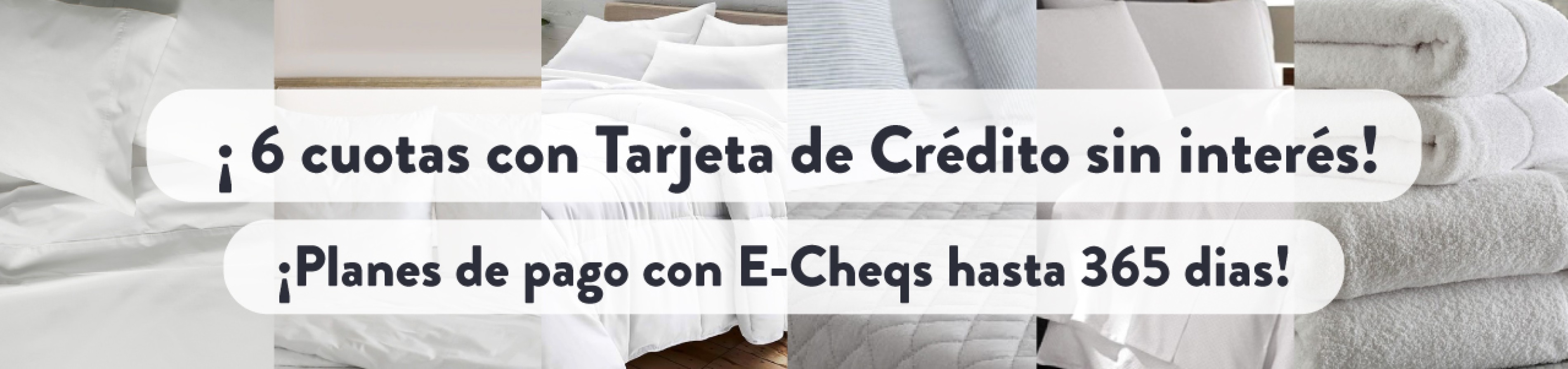 6 cuotas sin interes + ECHEQS